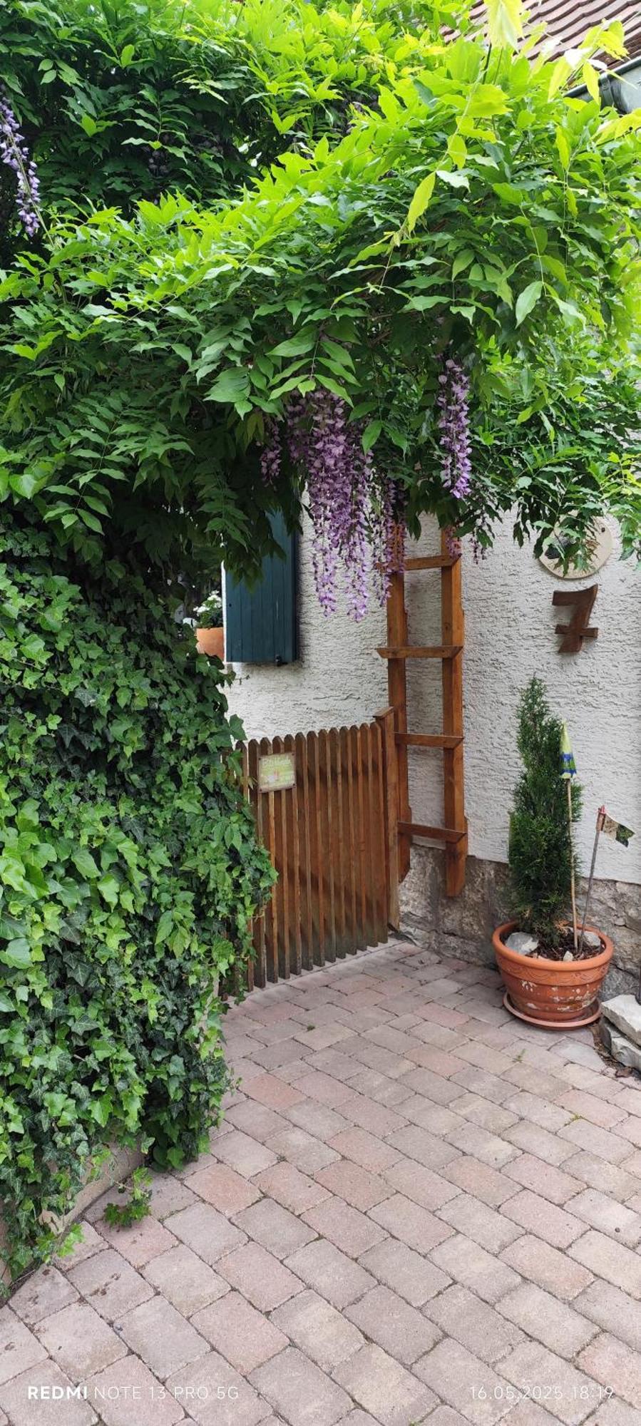 Ferienwohnung Geiernest Ochsenfurt Luaran gambar